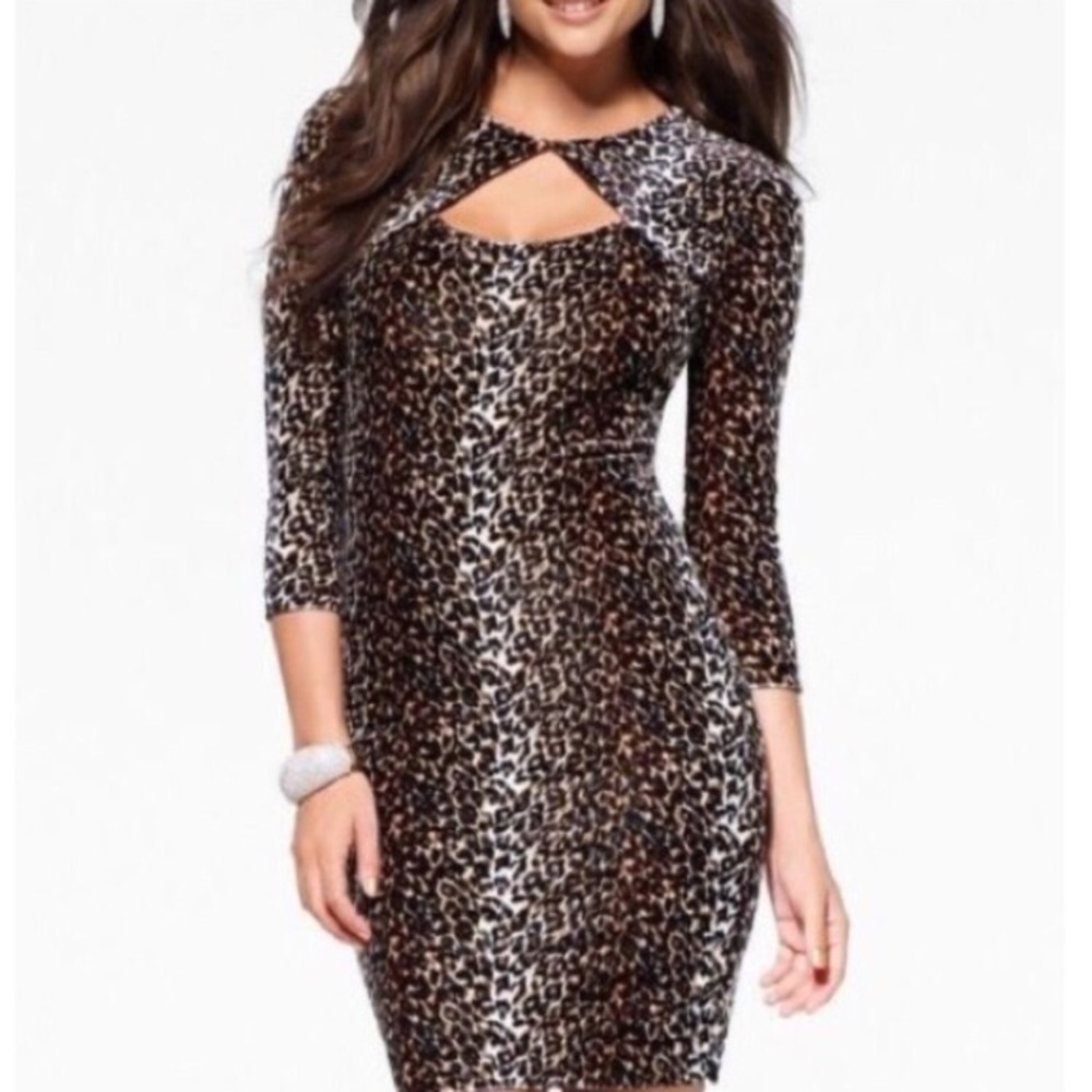 Cache animal print velvet dress